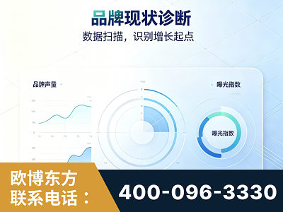 邹平-品牌现状诊断