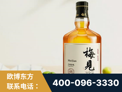 邹平-梅见青梅酒